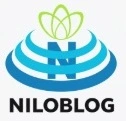علوم غریبه ، جفر و سرکتاب, استخراجات و استعلامات